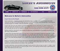 Sultze's Automotive