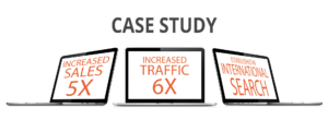 Tech Manufacturer Gains International Market Share with SEO & Google Ads